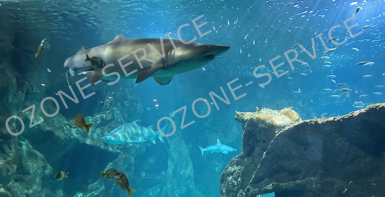L'ozone pour les aquariums marins